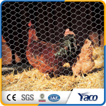 Hengshui 0.9mm wire 1/2" hole galvanized chicken coop hexagonal wire mesh for zoo mesh